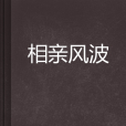 相親風波 相親風波