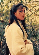 戰神傳說(1993年洪金寶執導電影)
