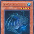 髭鬚鮟鱇 髭鬚鮟鱇