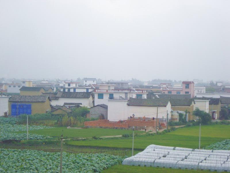 小馬官屯村 小馬官屯村