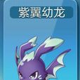 紫翼幼龍 紫翼幼龍