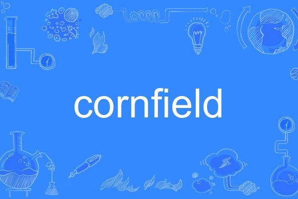 cornfield cornfield