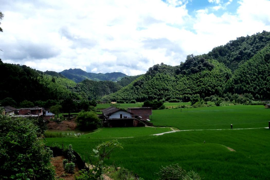 夏山村 夏山村