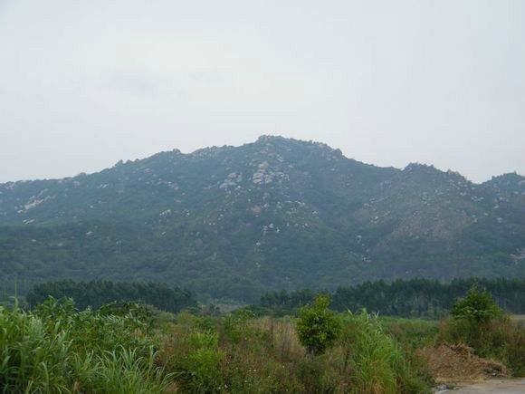 掠鳥尾 掠鳥尾