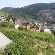 徐家堂村 徐家堂村