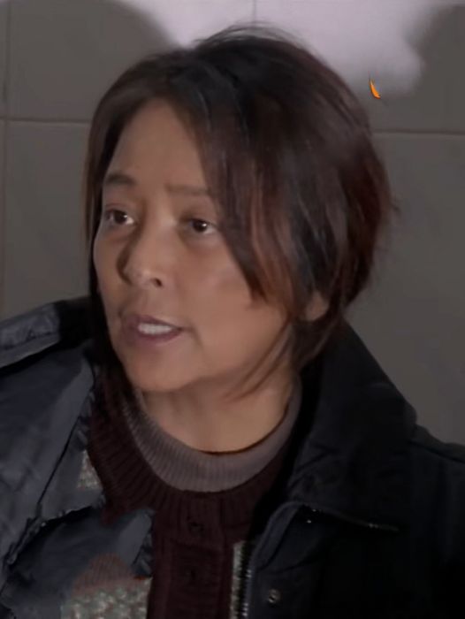 賀平(喜劇片《一路驚喜》中的角色) 賀平(喜劇片《一路驚喜》中的角色)