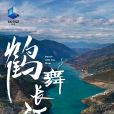 鶴舞長江 鶴舞長江