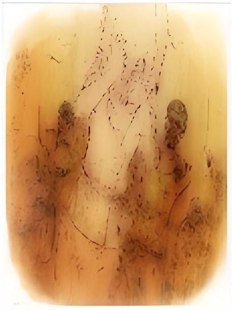 漠輕天下