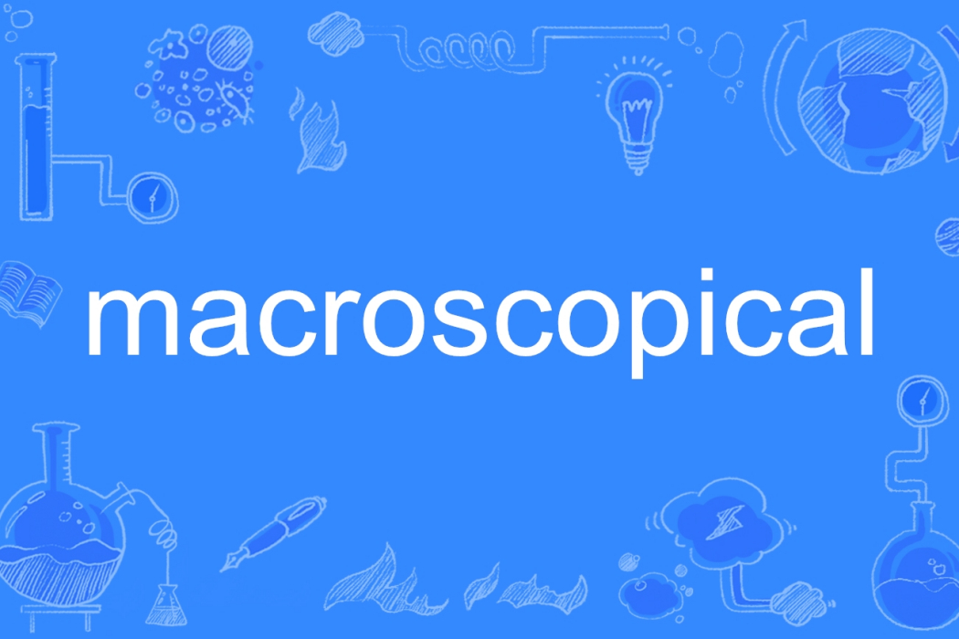 macroscopical macroscopical