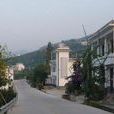 新鋪村(湖北省黃岡市羅田縣三里畈鎮新鋪村) 新鋪村(湖北省黃岡市羅田縣三里畈鎮新鋪村)
