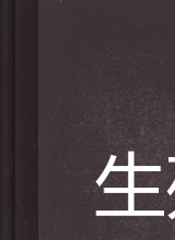 崔佩儀