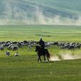 內蒙古自治區實施《中華人民共和國標準化法》辦法