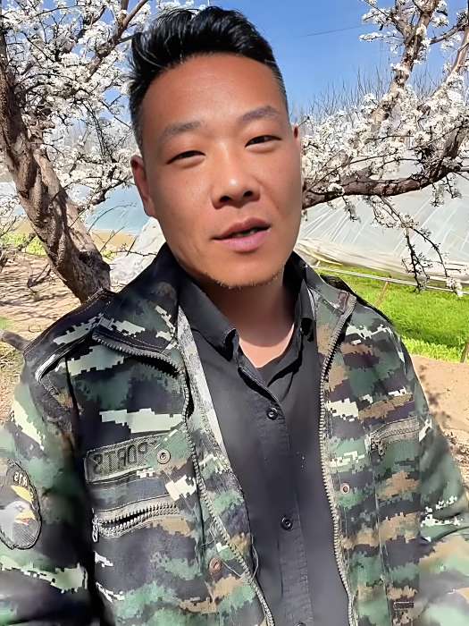 植保李晨 植保李晨