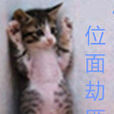 位面劫匪 位面劫匪