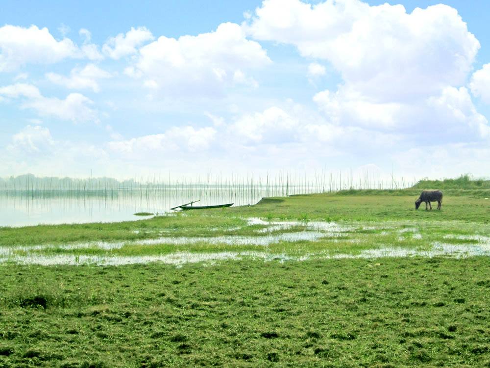 柳浪湖