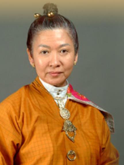 陳老太(《小娘惹》中的角色) 陳老太(《小娘惹》中的角色)
