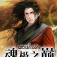 魂極之巔 魂極之巔