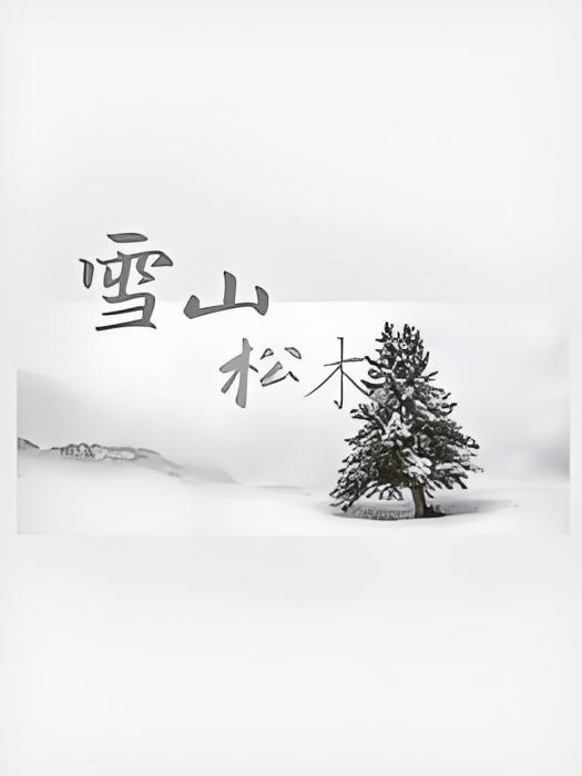 雪山松木 雪山松木
