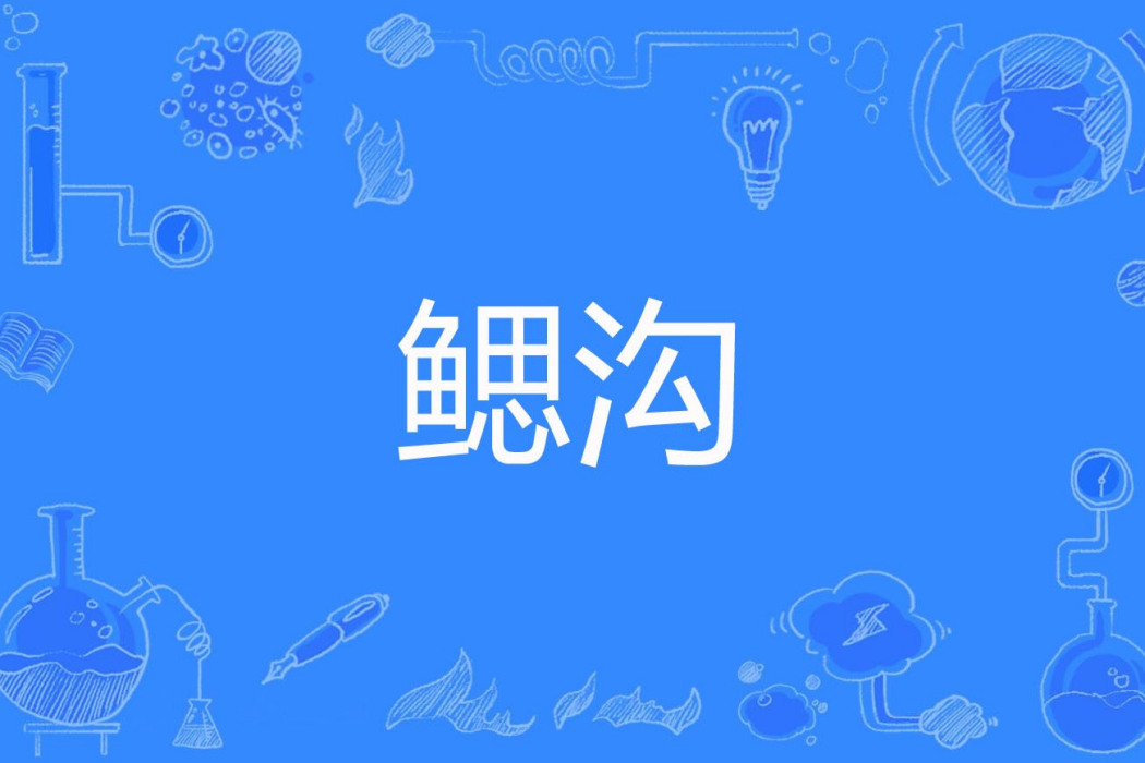 鰓溝 鰓溝