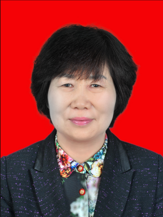 李麗萍(陝西省西安市新城區發展和改革委員會黨委委員、一級調研員) 李麗萍(陝西省西安市新城區發展和改革委員會黨委委員、一級調研員)