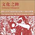 文化之眸