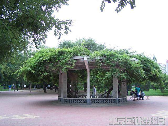 玉春園 玉春園