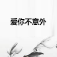 愛你不意外 愛你不意外