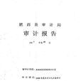 審計報告(會計學領域的概念) 審計報告(會計學領域的概念)