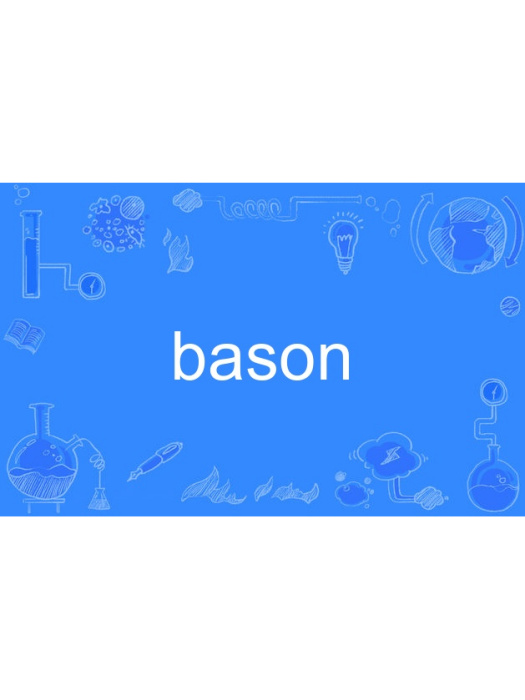 bason bason