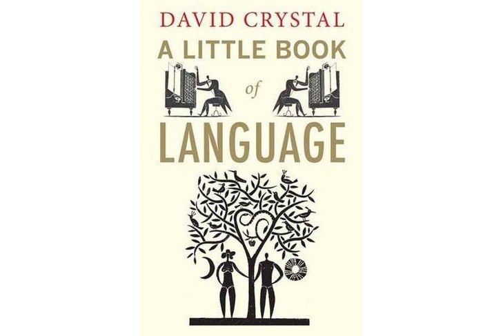 A Little Book of Language A Little Book of Language