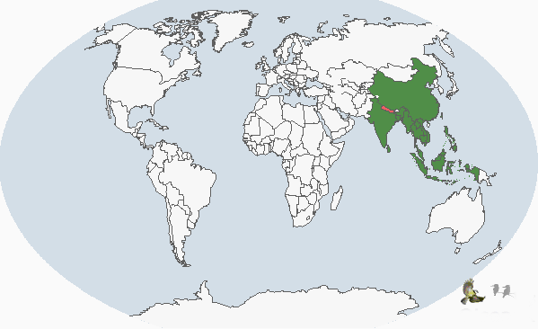 藍胸秧雞（分布圖）