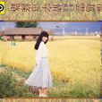 情字這條路(潘越雲演唱歌曲) 情字這條路(潘越雲演唱歌曲)