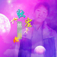 獨寵(專輯) 獨寵(專輯)