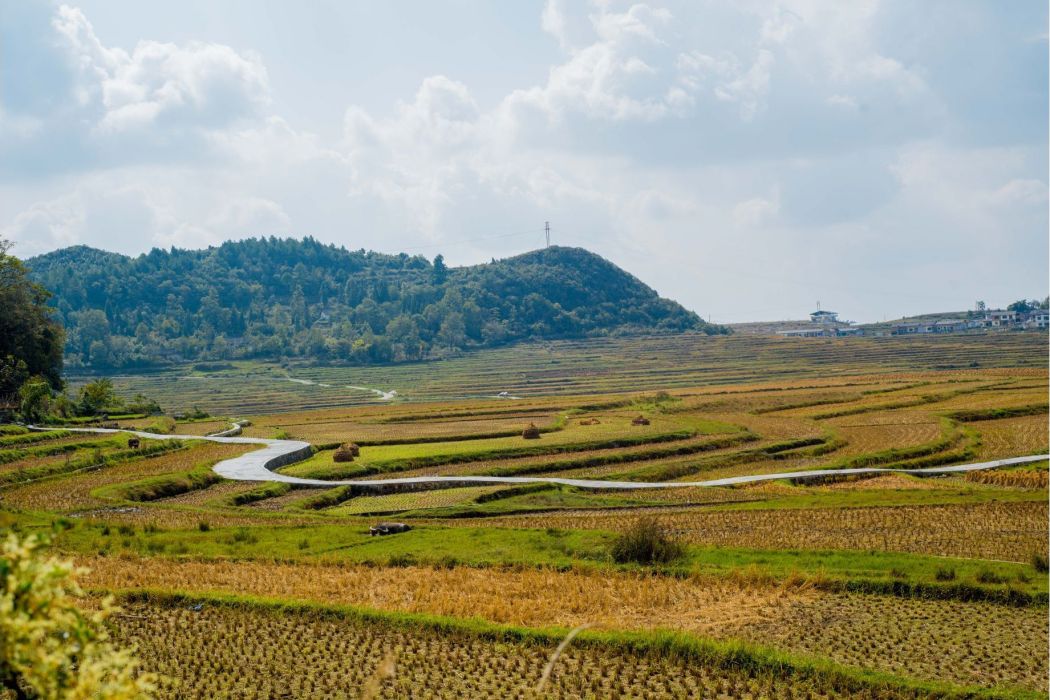 高坡景點 高坡景點