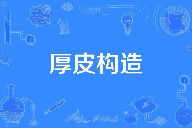 厚皮構造 厚皮構造