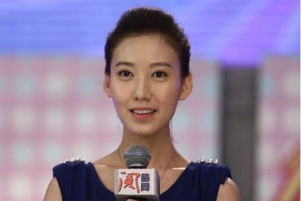 張燕(現代家庭劇《二胎》中的角色) 張燕(現代家庭劇《二胎》中的角色)