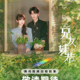 兄友妹恭(2024年陳躍進執導的都市愛情電視劇)