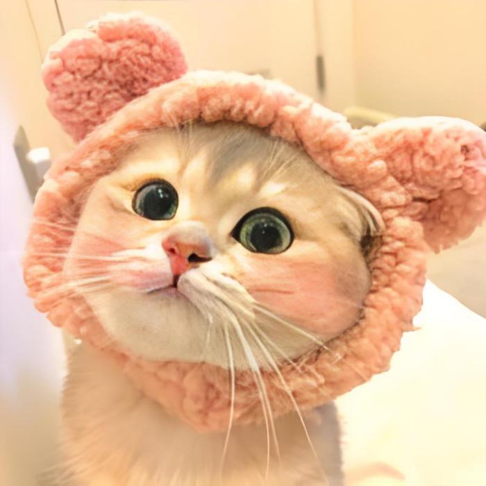 Kevin看世界 Kevin看世界