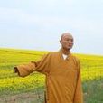 慧廣法師 慧廣法師