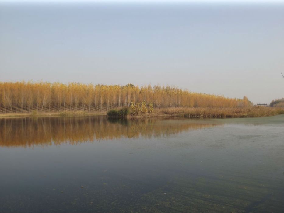 中亭河 中亭河