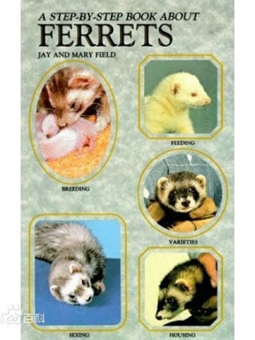 A Step by Step Book About Ferrets