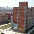 上海大學材料科學與工程學院