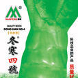 冬寒四號 冬寒四號