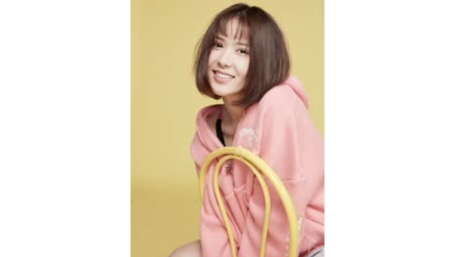 安娜(中國內地女演員) 安娜(中國內地女演員)