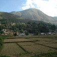 樂小廟村 樂小廟村