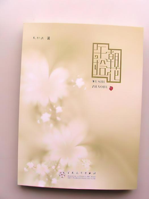 午拾朝花 午拾朝花