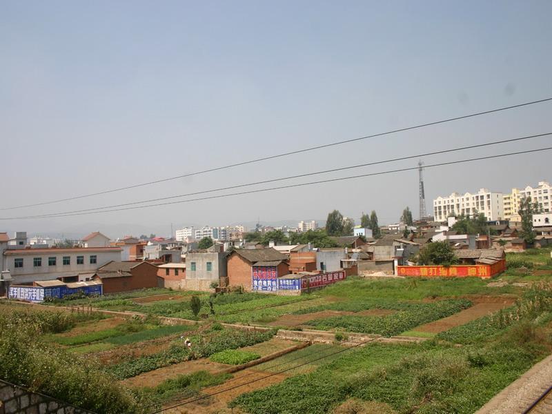 岳家巷村