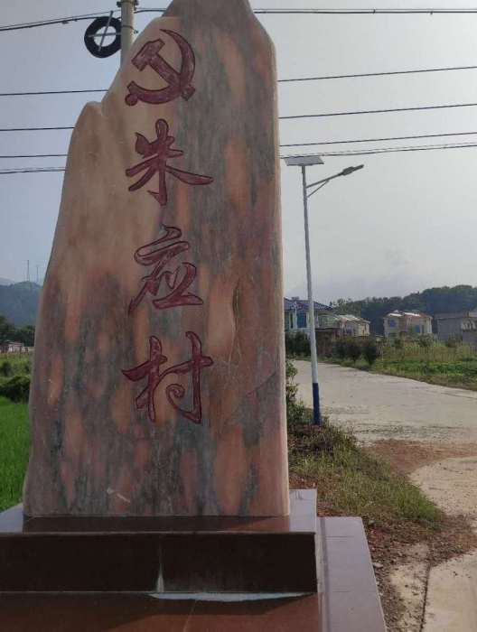 朱應村(湖北省黃石市陽新縣陶港鎮朱應村)