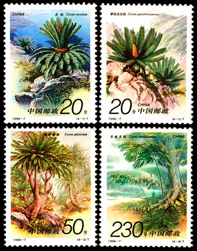 蘇鐵(1996年發行的郵票)