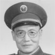 戈基 戈基